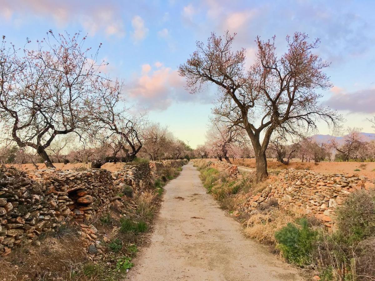 The Other Place Lecrin Bagian luar foto